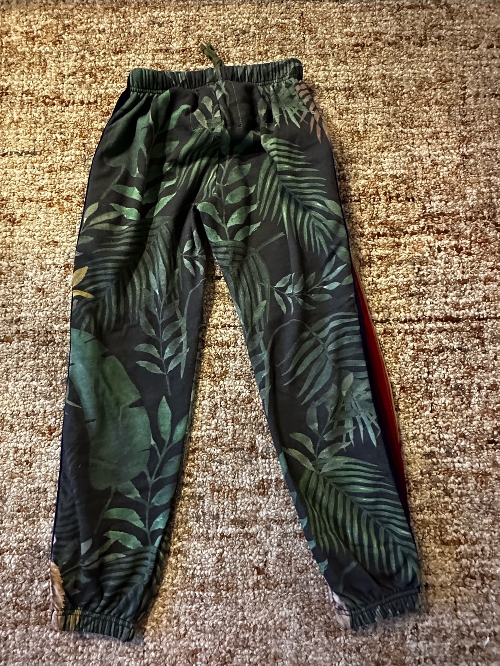 Rare Aviator Nation Green Jungle Tiger-Print Joggers with Red & Gold Stripes - Picture 5 of 6
